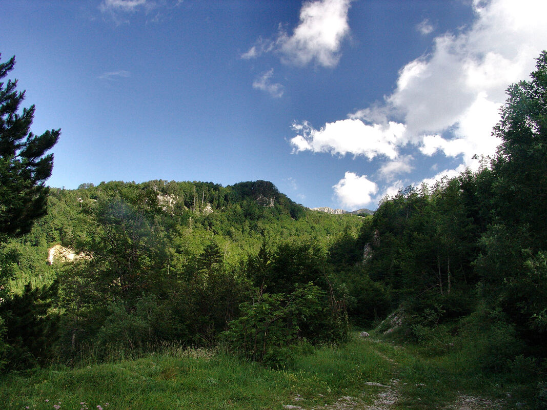 Prostor kod okretišta na jugoistočnom rubu platoa Crnog polja također je najviši dio Boračke drage.