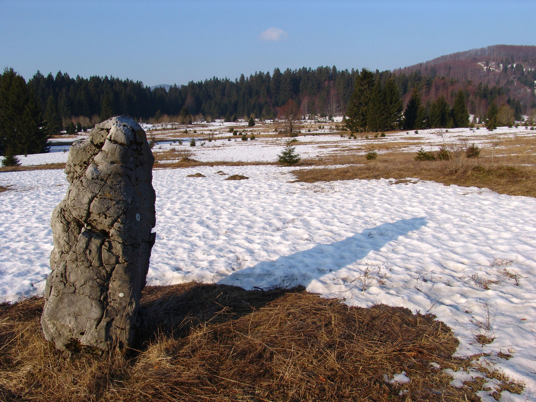Spomen-područje promrzlim partizanima na Matić poljani
