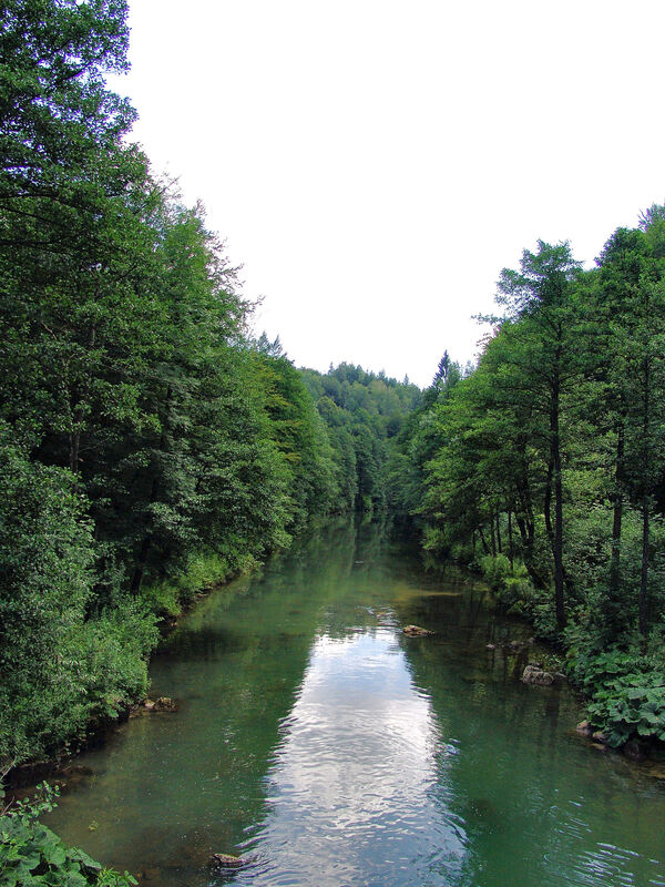 Rijeka Dobra nizvodno od ušća Kamačnika