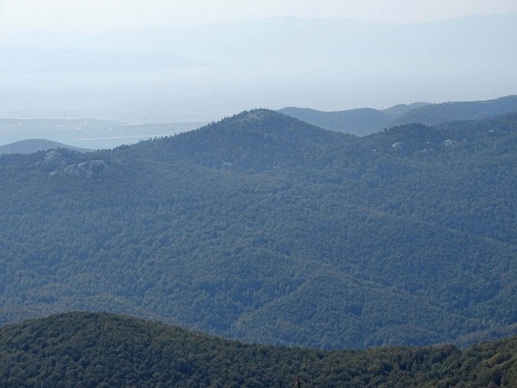 Pogled na Kobiljak s vrha Viševice