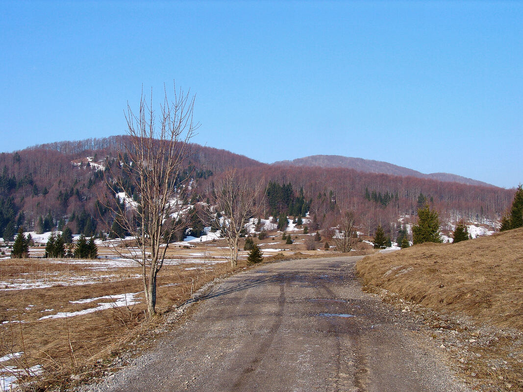 Makadamska cesta iz Tuka prema Jasenku, u prolasku Matić poljanom