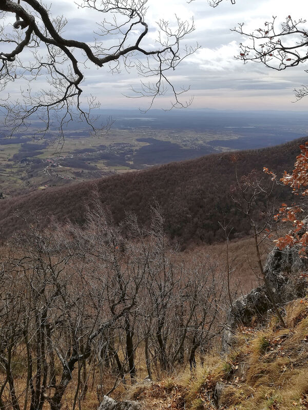 Pogled s grebena Plešivice u smjeru istoka