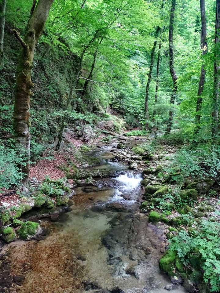 Korito potoka Bregane između naselja Osredek i Koretići, i brda Osredak i Tuščak (Žuberačka gora)