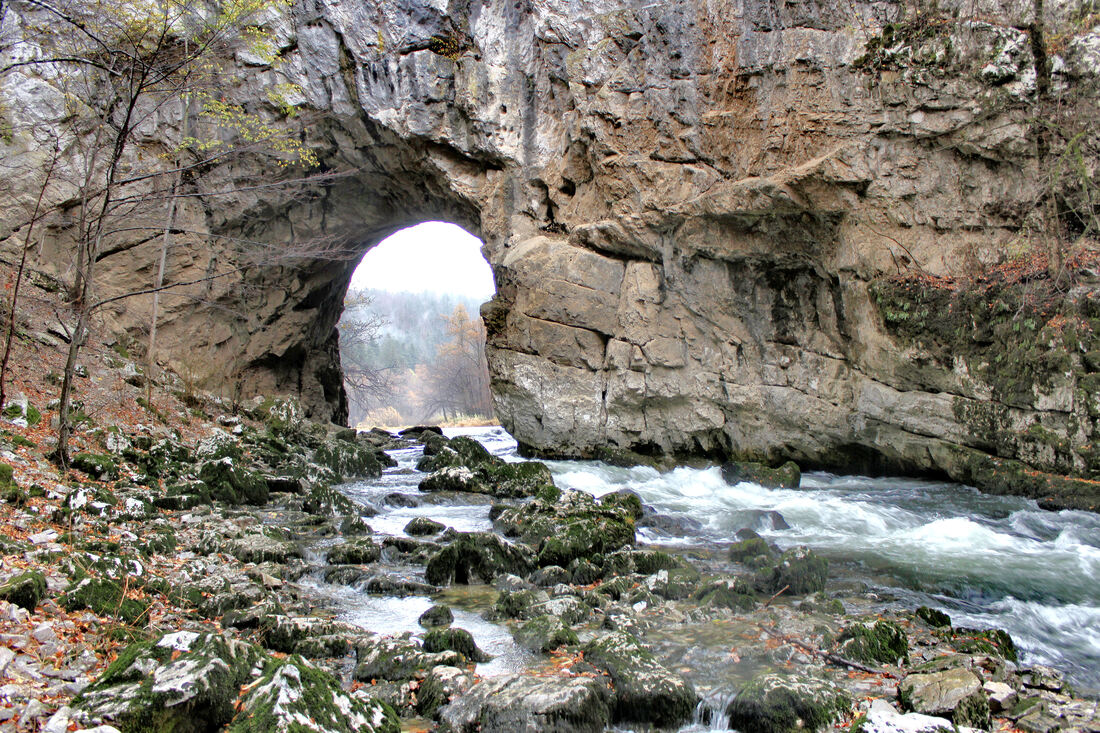 Naslovna fotografija. Potok Rak prolazi ispod Velikog prirodnog mosta u krškoj dolini koja se nalazi u slovenskom regionalnom parku Rakov Škocjan.
