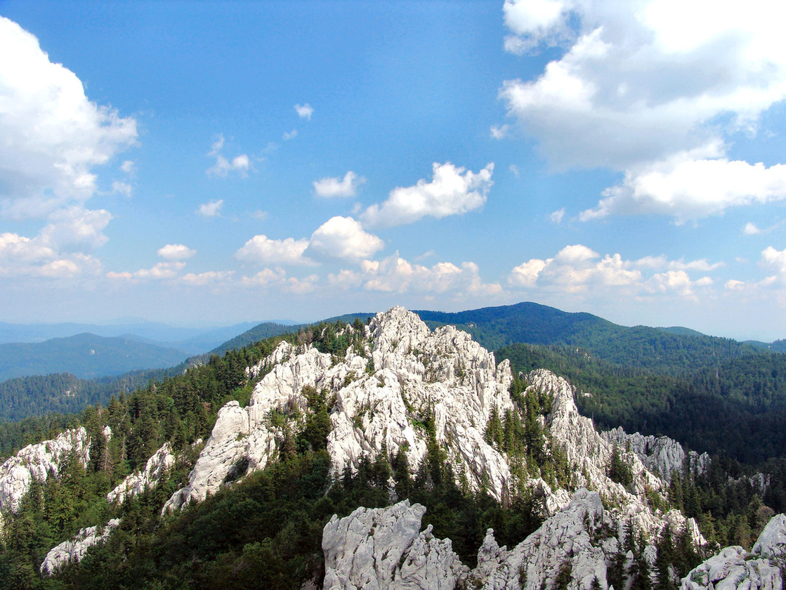 Stjenovit Vrh Bijelih stijena (u sredini) i šumom pokrivena Velika Javornica u pozadini (desno)