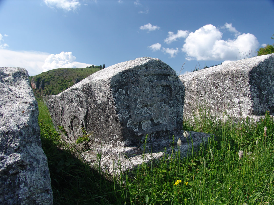 Naslovna fotografija. Nekropola u Donjim Močiocima na Bukoviku proglašena je za nacionalni spomenik Bosne i Hercegovine. Čine ju nekropola sa 61 stećkom, 15 nišana i jedan osamljeni stećak koji se nalazi izvan nekropole.
