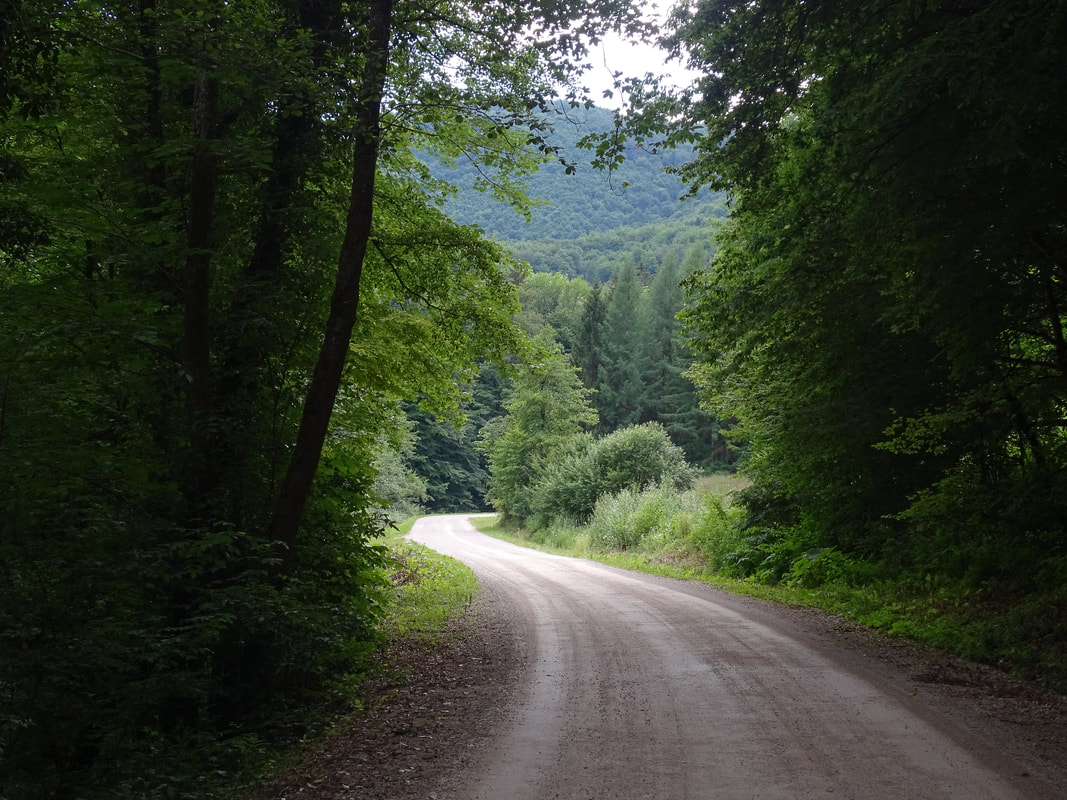 Cesta koja povezuje naselja Osredek i Koretići i proazi dolinom potoka Bregane