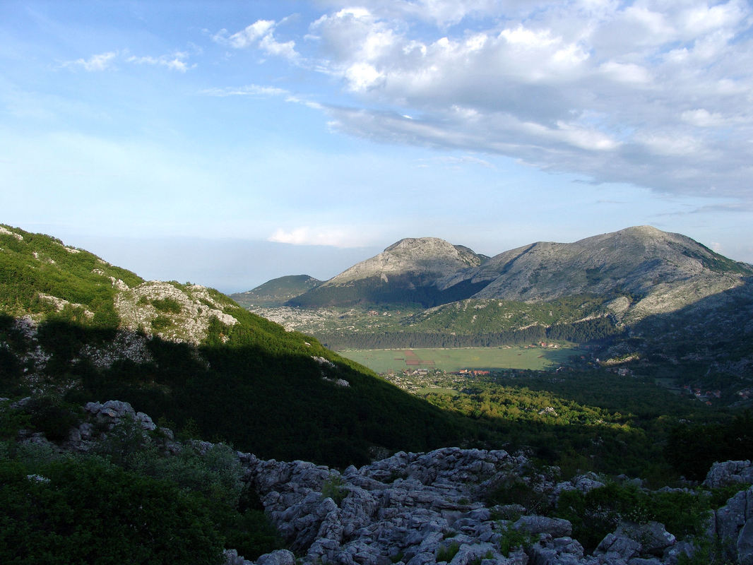 Njeguško polje, pogled s padina Lovećna