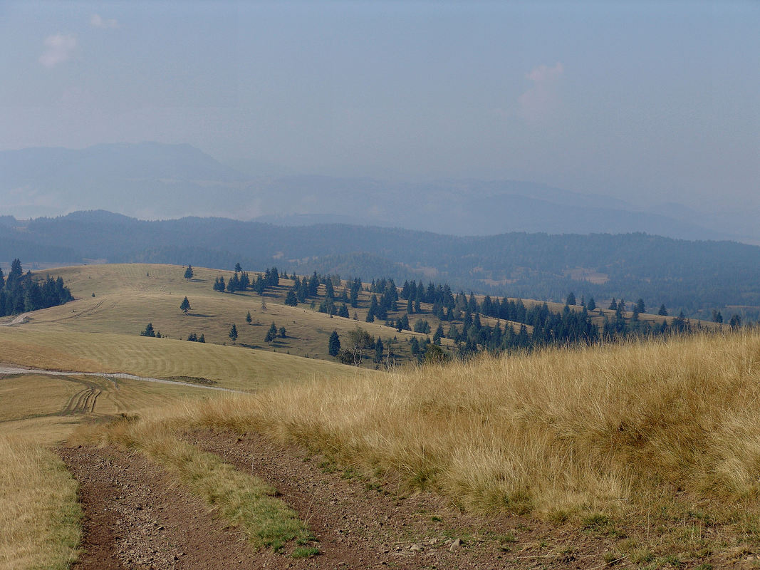 Na grebenu Vlahova, pogled u smjeru juga prema Hajli na horizontu