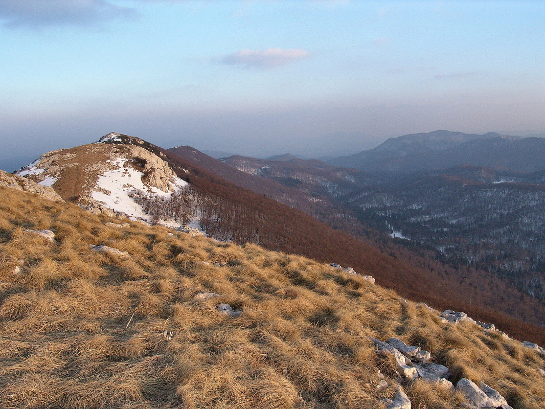Bjelolasica - Pogled od grebena Bjelolasice prema jugu, području Velike Javornice, 1375 m  (desno, u pozadini) i Bijelim stijenama, 1335 m (desno od V. Javornice)