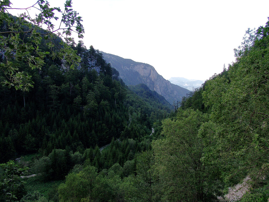 Serpentine na šumskoj cesti u gornjem dijelu Boračke drage