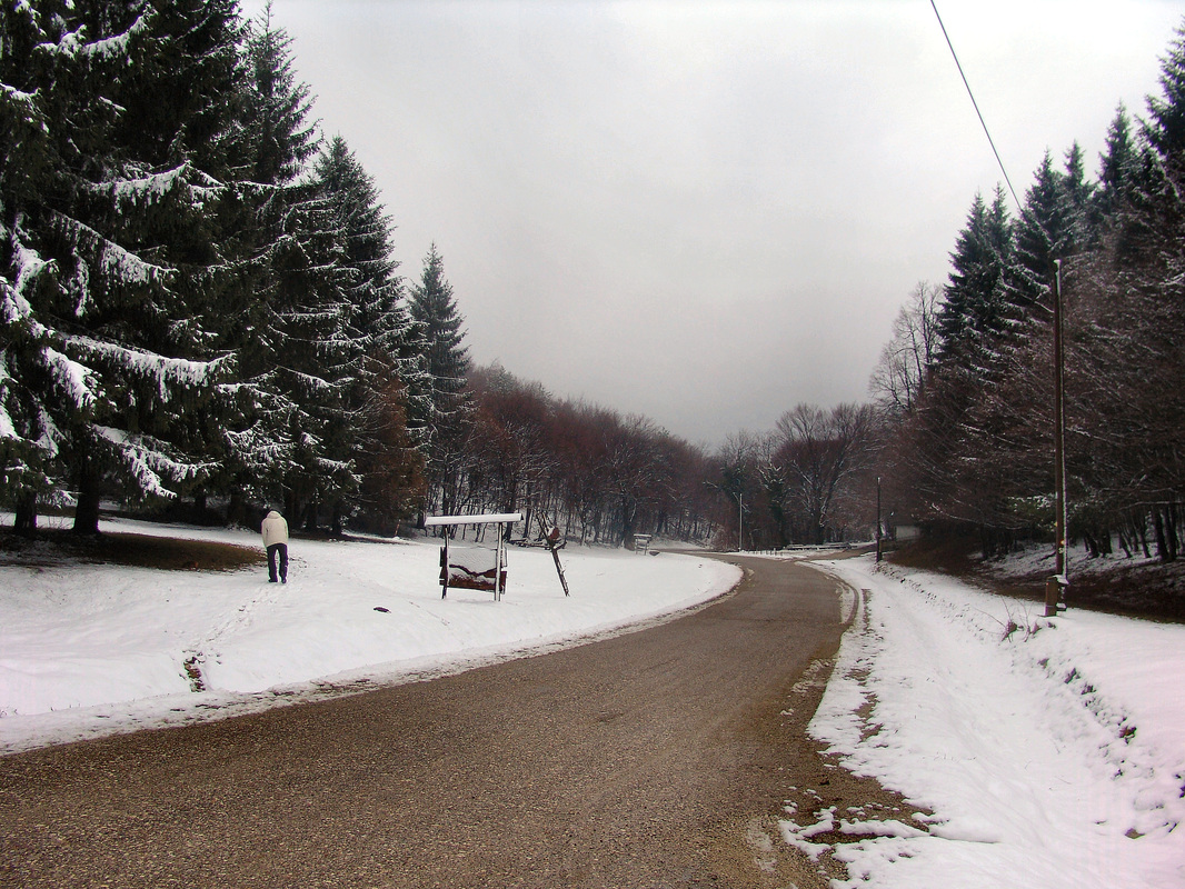Cesta preko prijevoja Poljanice koja povezuje Samobor, preko Ruda s Plašivicom i Jastrebarskom. 