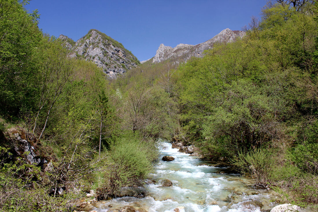Rijeka Vrbnica prije utoka u Pivsko jezero