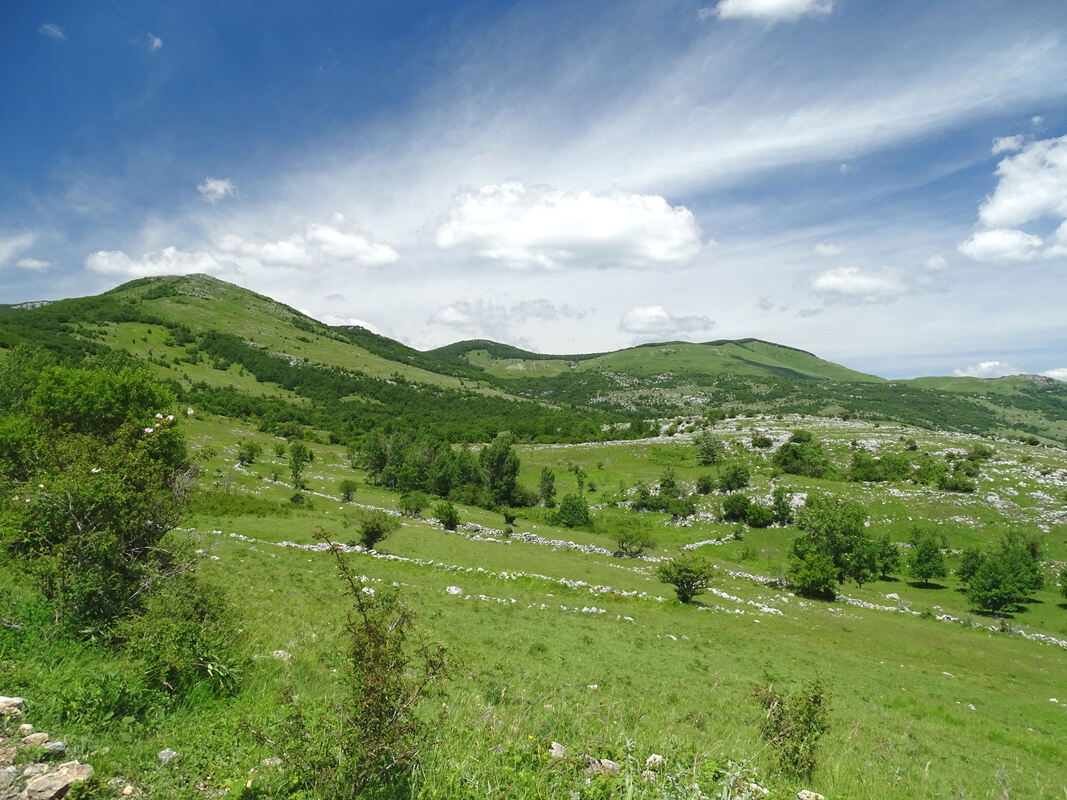 Bijeli vrh lijevo (1389 m) i Vrščić desno (1161 m)