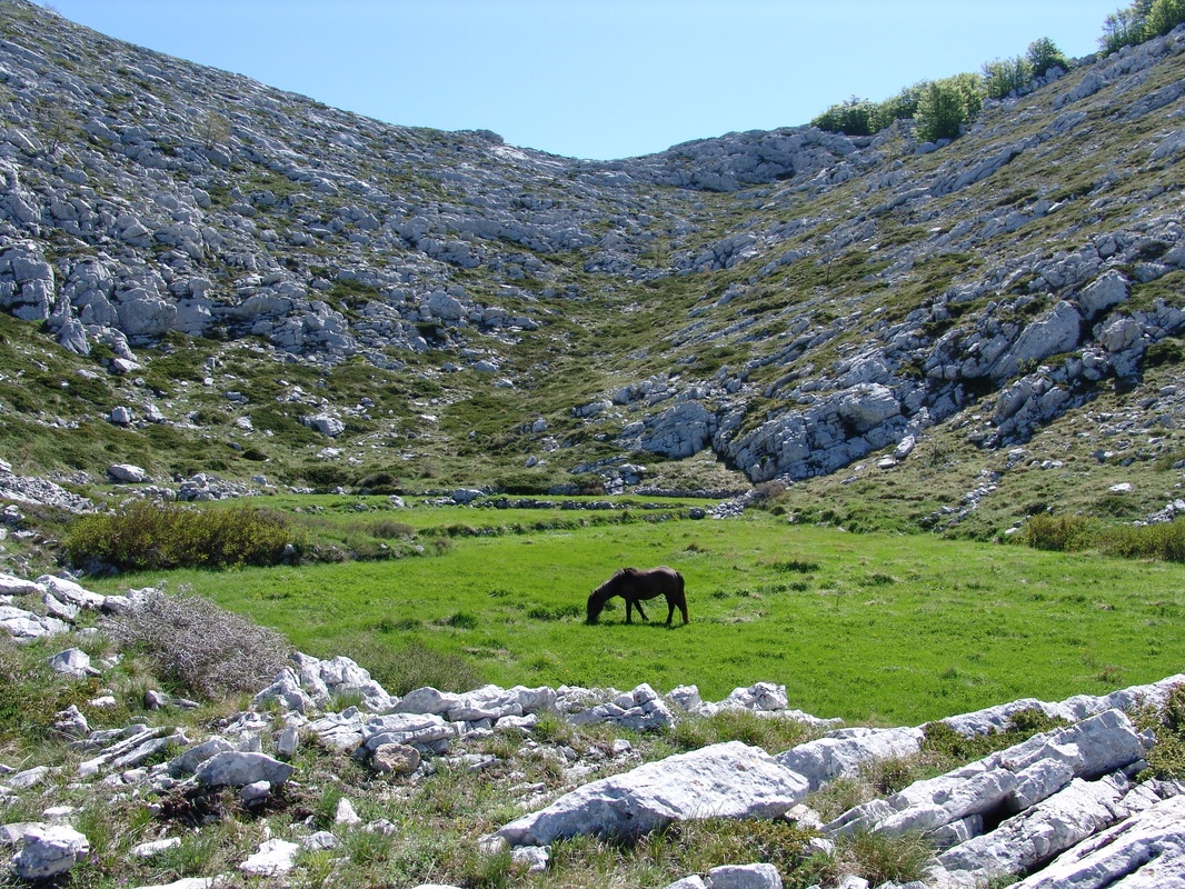 Biokovo mt. in Dalmatia region in Croatia; nice example of a small arable field in a karstic sinkhole, called dolac, or dô.