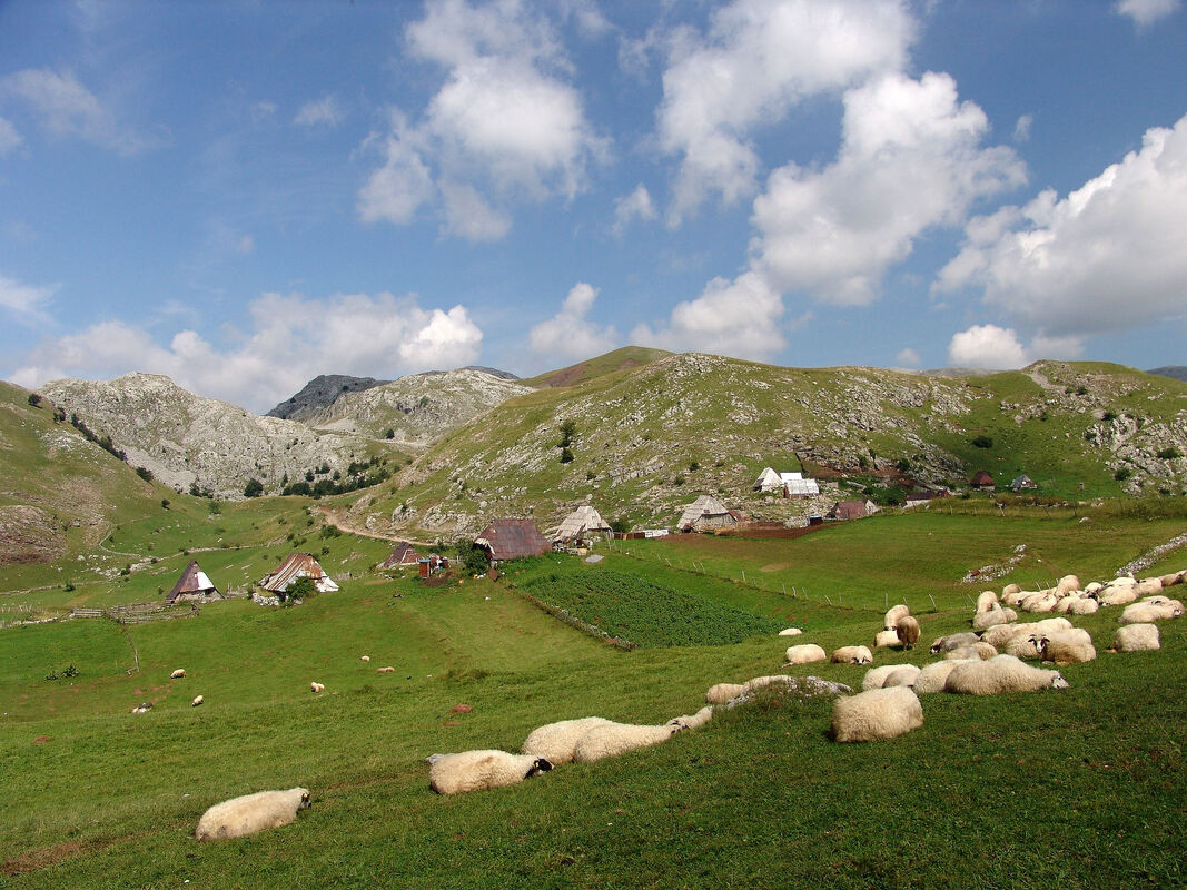 Katun Gradina na Bjelašnici (Bosna i Hercegovina)