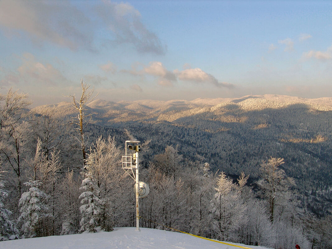 Pogled od skijaške staze prema šumovitom kapelskom području Bijela-Kosa - Mirkovica