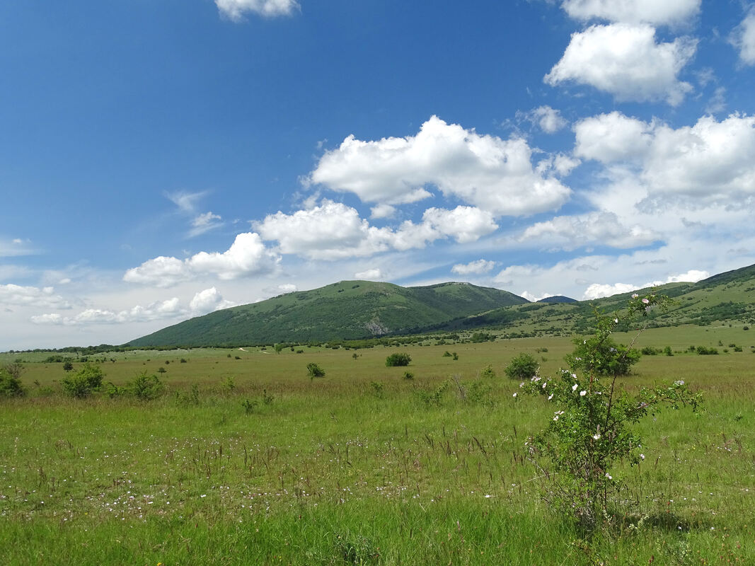 Pogled iz Visućkog polja na Brusnić. Lijevi vrh je Mali Brusnić 906  m, na iza njega, desno je Veliki Brusnić, 1371 m. Visućko polje je jugoistočni izdanak Krbavskog polja. Polje je usječeno u Ličku Plješivicu, a prostire se uz cestu Udbina – Donji Lapac.