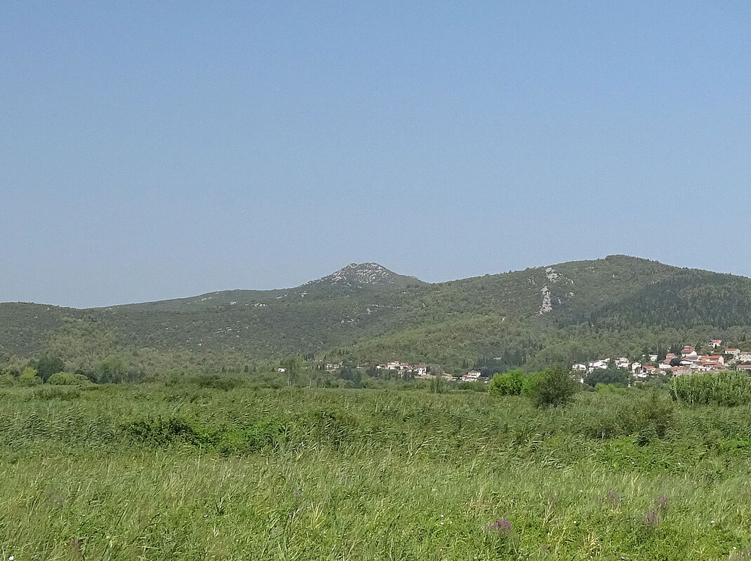 Pogled iz ravnice Neretve na Marušića gradinu, prepoznatljivu po zaravnjenom tjemenu