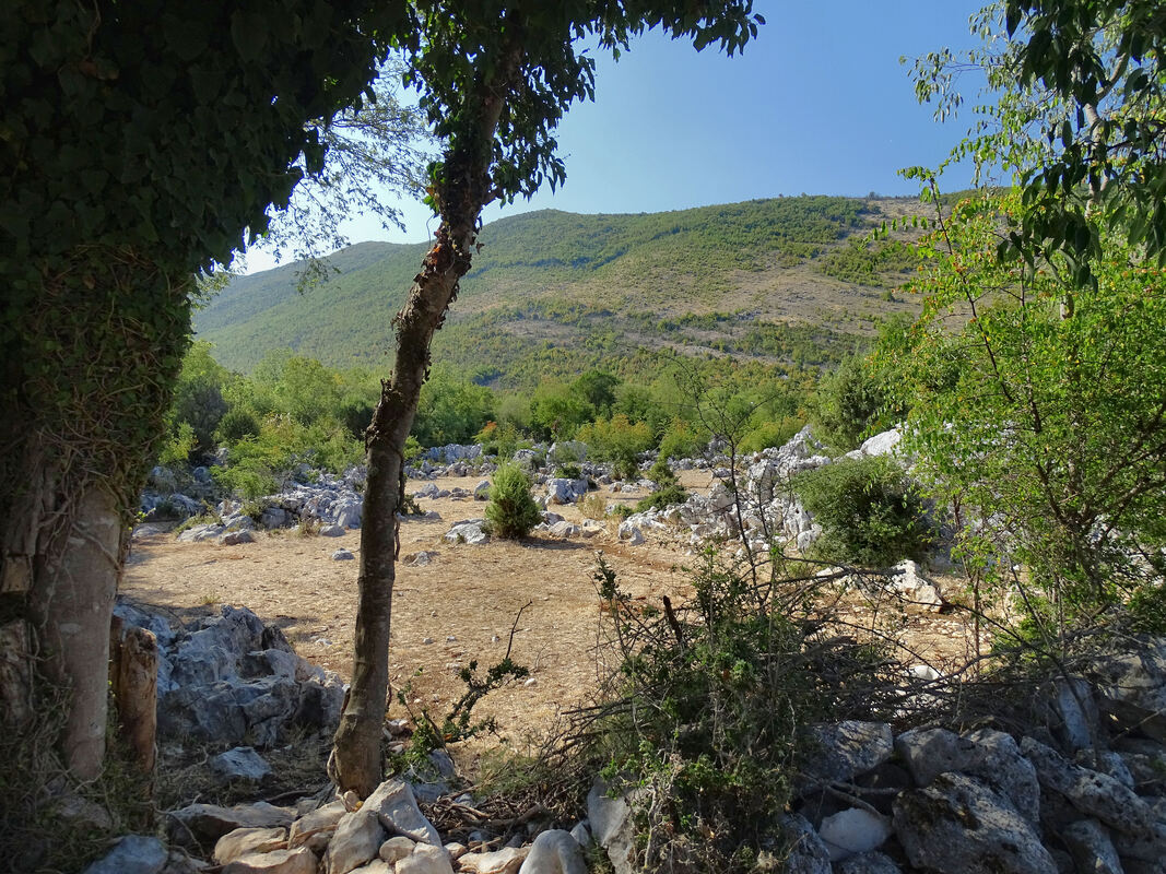 Okolica sela Glušci, pogled na brdo Borut
