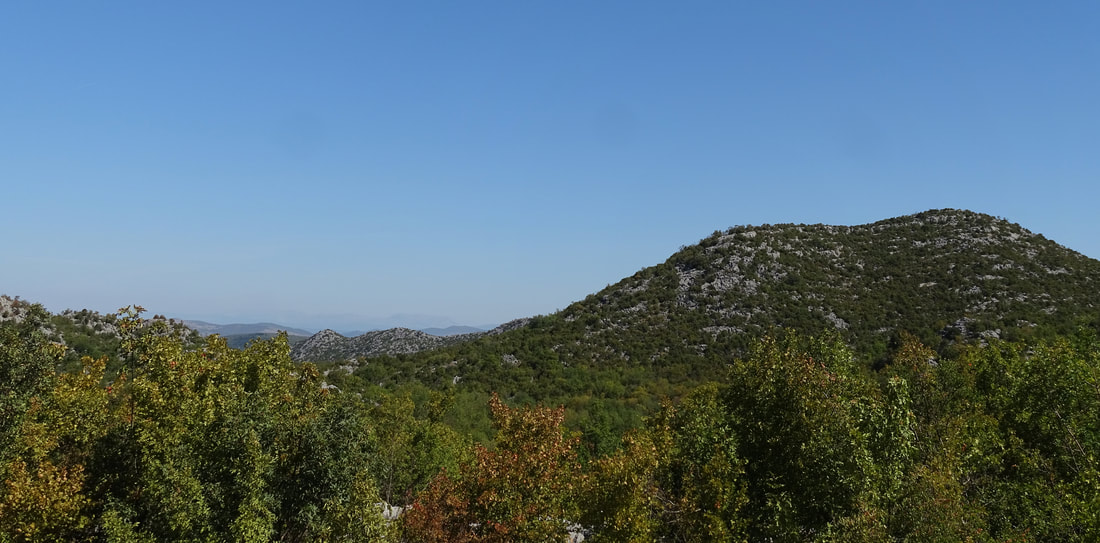Pogled na Košića glavicu (316 m n.v.) s ceste Bijeli Vir-Dobranje