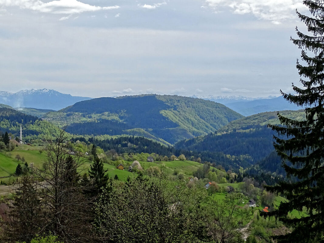 Budoželjska planina - pogled s Alijinog korita na planini Zvijezdi