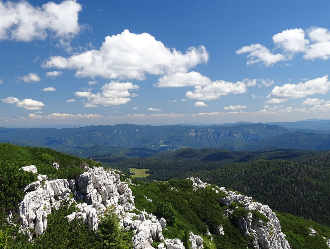 Pogled s grebena Snježnika na sjeverozapadne obronke Risnjaka, Čabarski kraj i planine u slovenskoj regiji Kočevskoj (Goteniška gora, Borovška gora) 