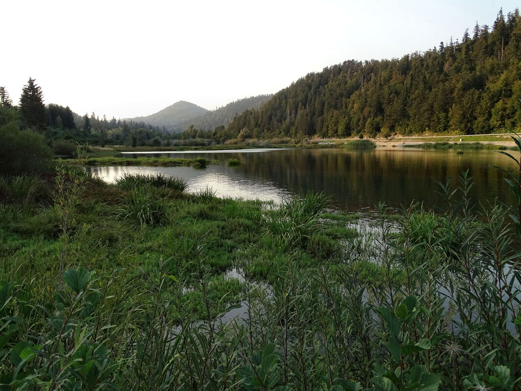 Pogled preko površine jezera Bajer na zapadne padine Preradovića brda