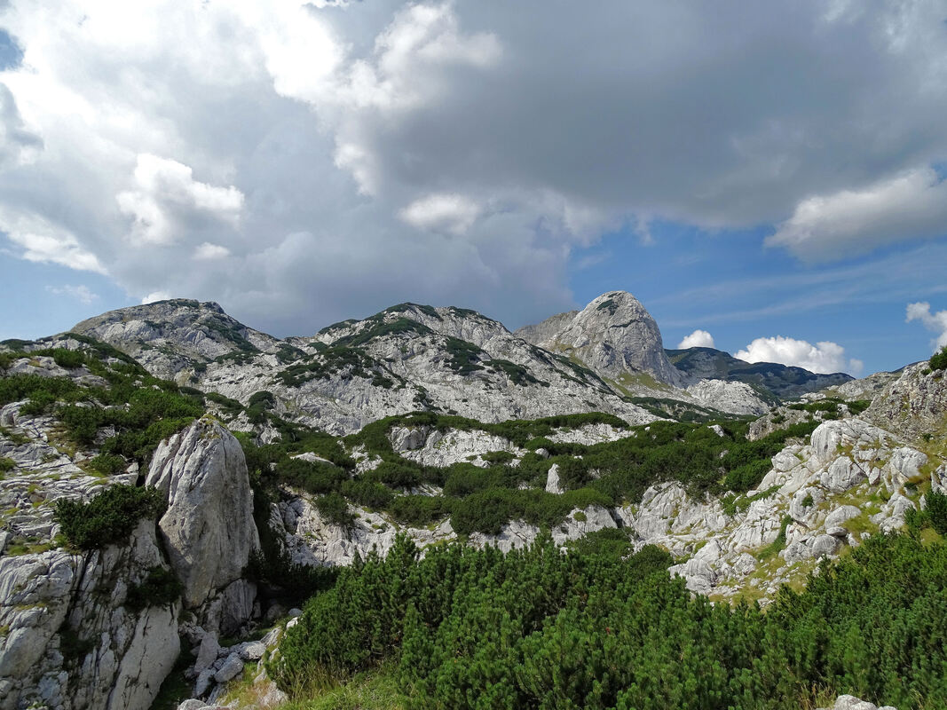Pogled na vrhove (s lijeva nadesno): Čvorov bogaz, Paljevine i Obla glava