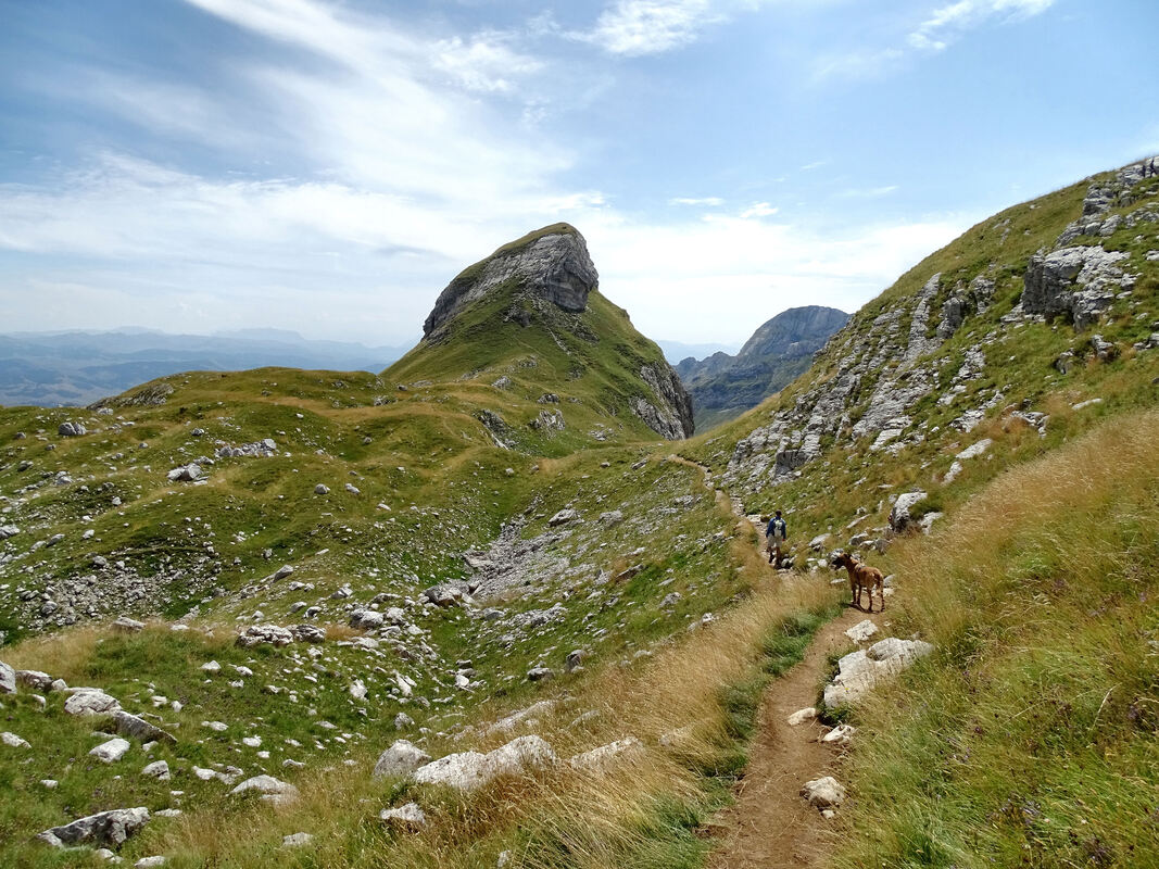 Planinarska staza koja vodi od Sedla, preko Surutke prema Bobotovom kuku. U pozadini vrh uvite grede.
