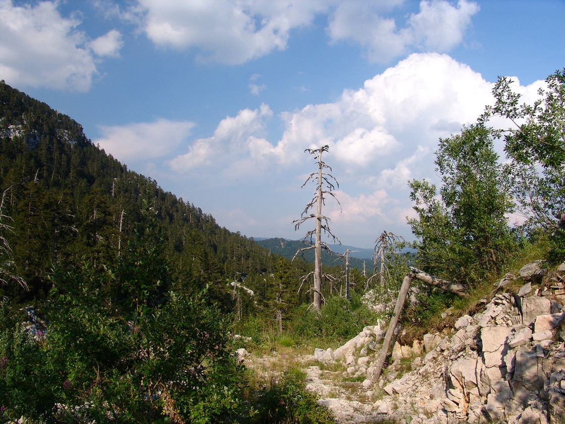 Put od katuna Čačak prema vrhu Kula na planini Prekornici