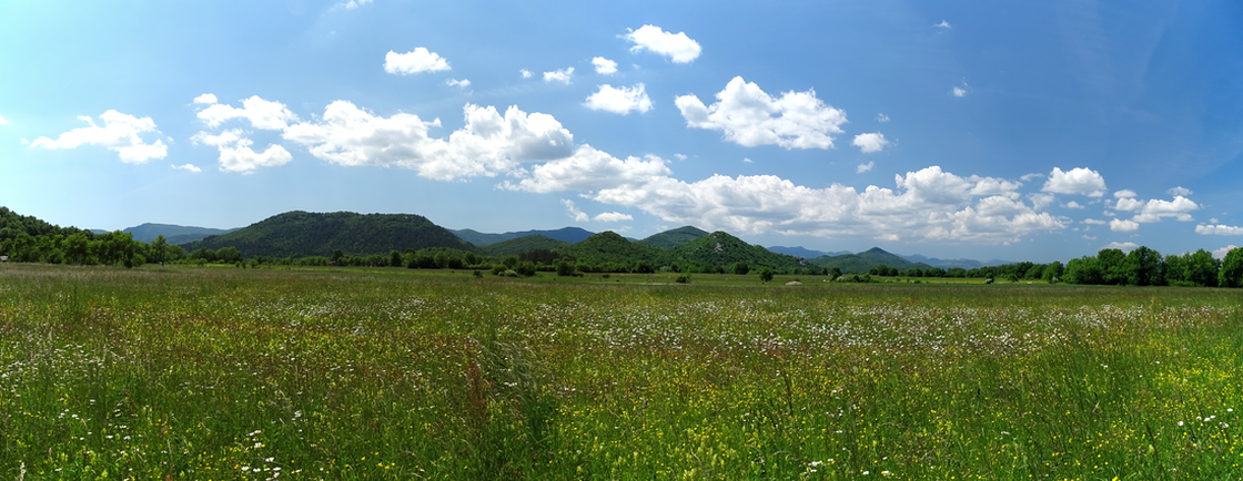 Pogled iz Ličkog polja u smjeru Srednjeg i Sjevernog (na horizontu desno) Velebita, ispred kojih se vidi Bužimsko pobrđe i pojedinačni humovi (brdašca) raštrkani po Ličkom poljeu