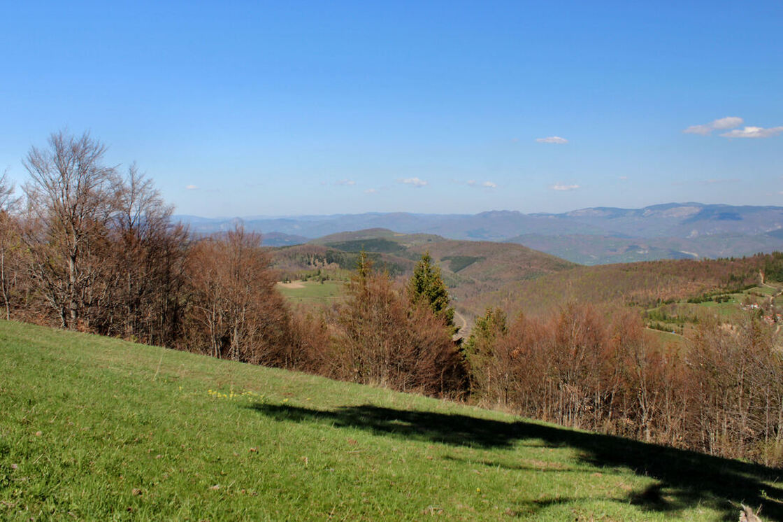 Pogled od Ravne Gore prema grebenu Završje (1187 m), koji se nalazi jugozapadno od Prijepolja.