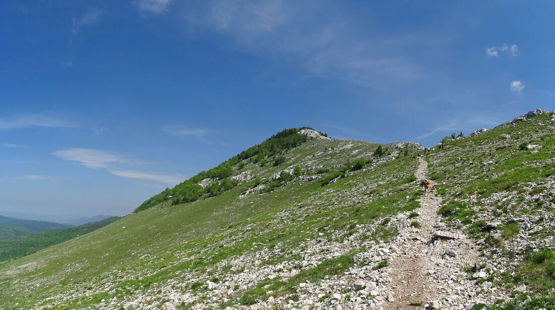 Staza vodi prema prijevoju Vrh planine - izduženom platou između grebena Obruča i Ćunine glave