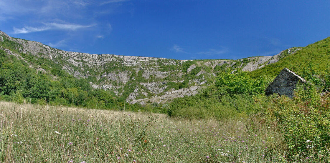 Livada kod zaselka Bogutovac, nedaleko od izvorišta Zrmanje, s otvorenim pogledom prema stijenama Misija