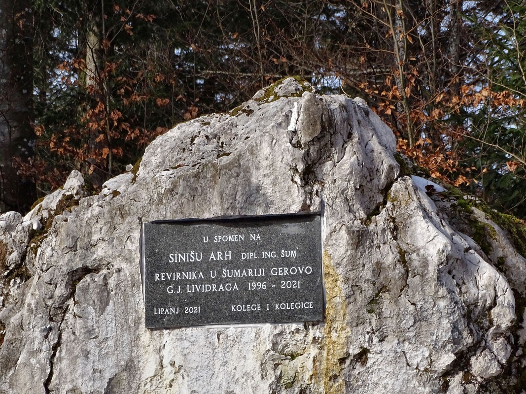 Spomen-ploča posvećena Siniši Arhu, postavljena na kamenu stijenu.
