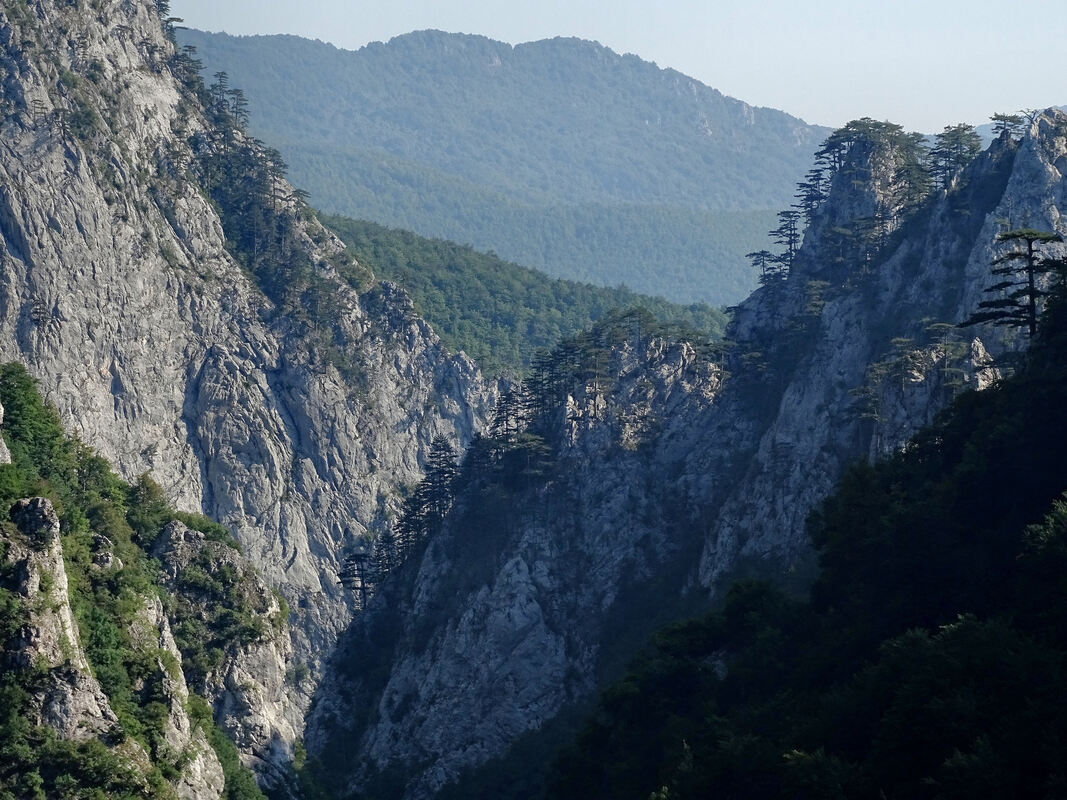 Stijene kanjona rijeke Hrčavke