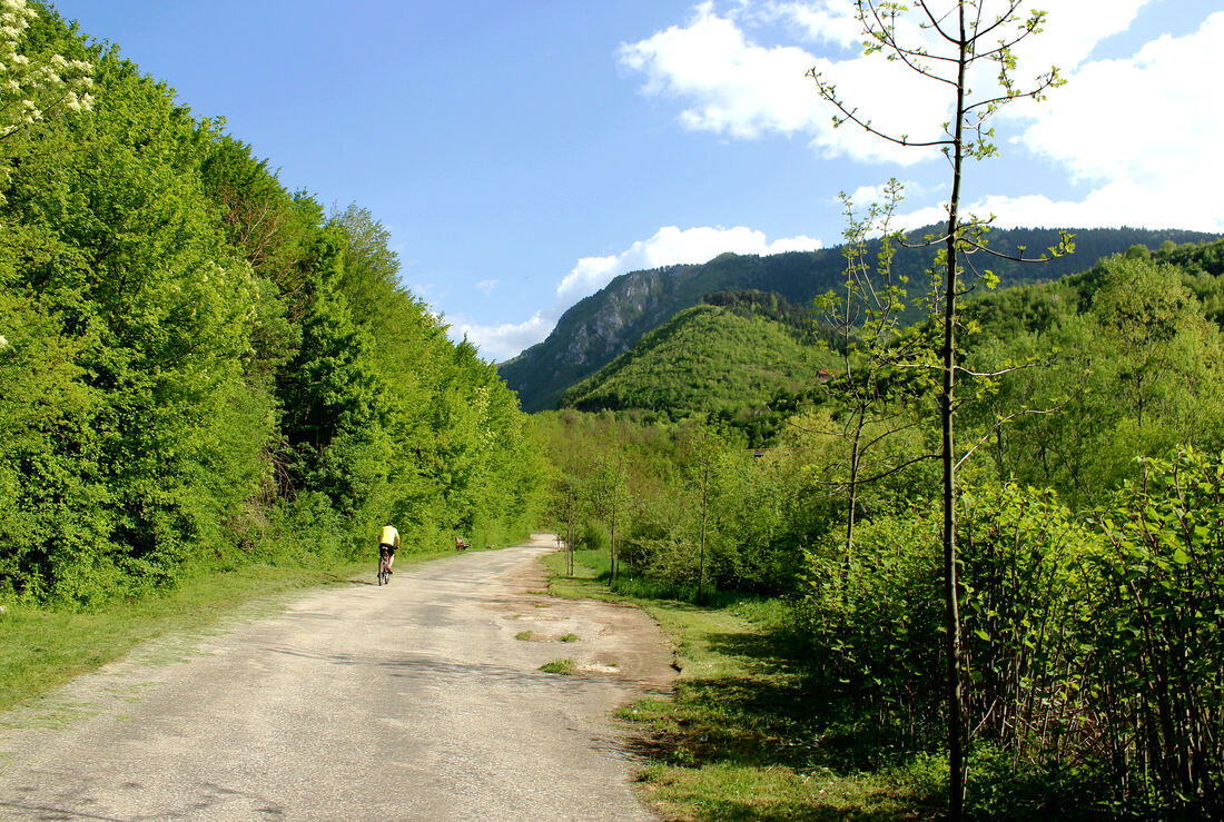 Cesta-šetalište uz Miljacku, nizvodno od Kozije ćuprije
