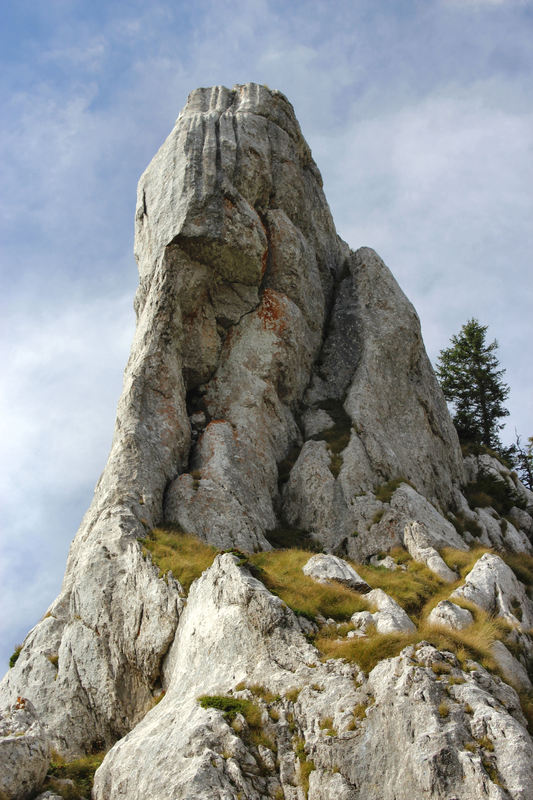 Mamut stijena