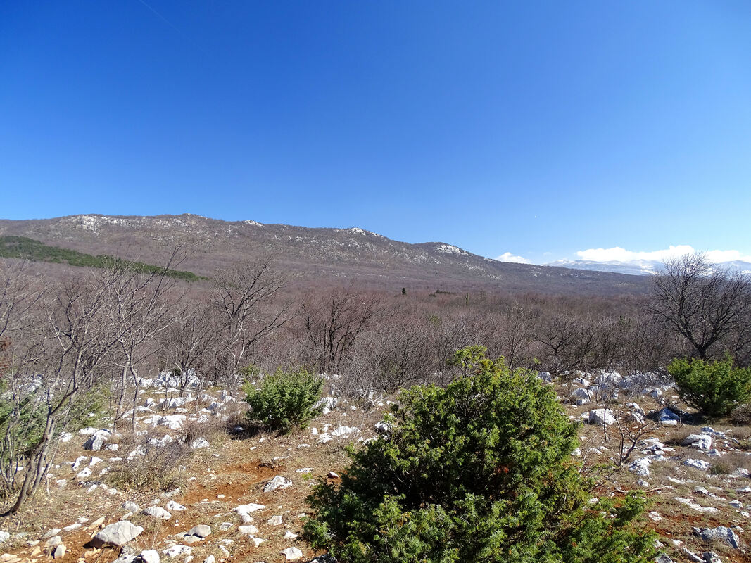 Pogled na Pališin iz smjera vrha Kacalj