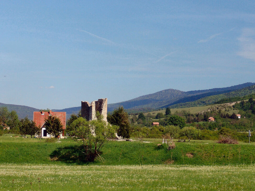 Pogled prema arheološkom području s ostacima srednjovjekovne crkve i nekropolom sa stećcima na lokalitetu Crkvina u Koluniću