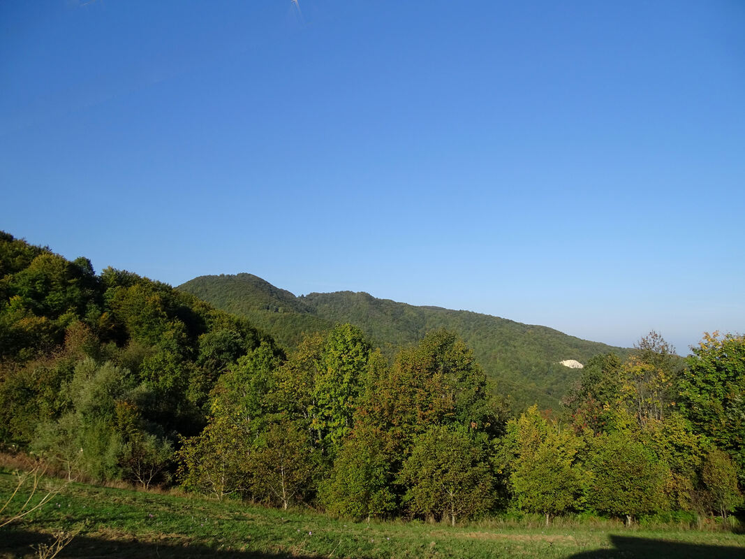 Pogled od Drmića na Kumičevac (771 m)