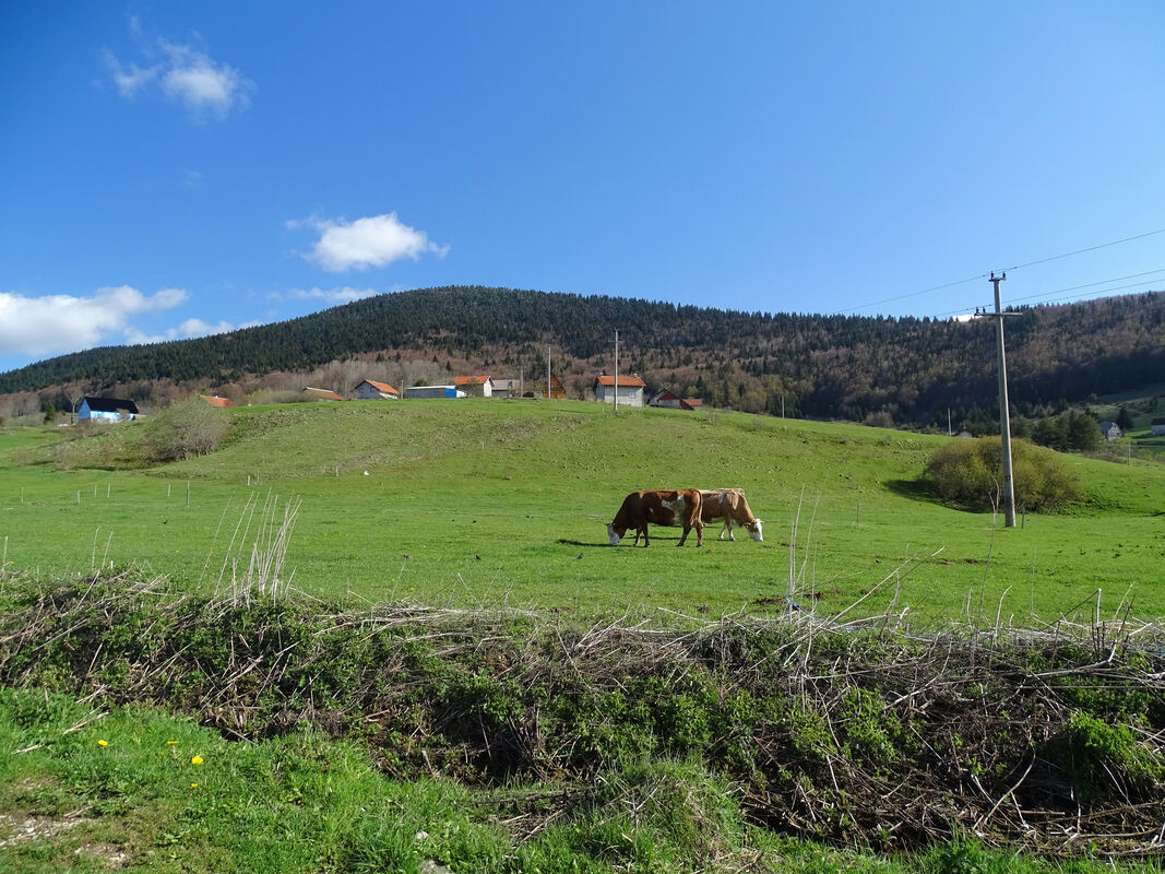 Pogled na selo Kute i padine Crnog vrha, u pozadini