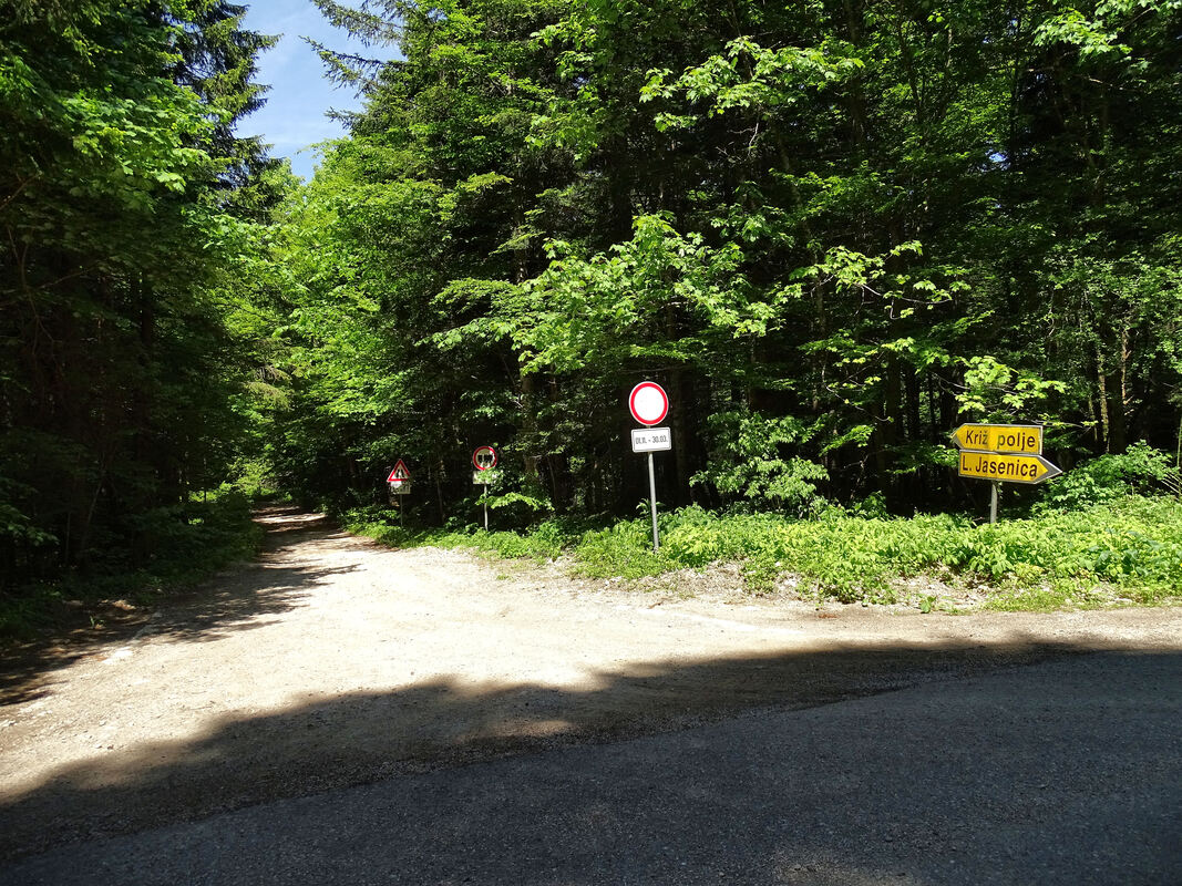 Podno prijevoja nalazi se odvojak šumske ceste koja vodi prema Križpolju preko šumovitih Vrletnih draga i Glibodola.