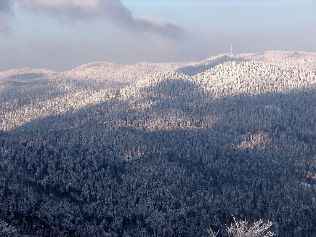 Pogled na Mirkovicu (telekomunikacijski odašijač) i okolne gustom šumom prekrivene planinske kose i uvale - pogled s nekadašnjeg skijališta na jugoistočnim obroncima Bjelolasice 