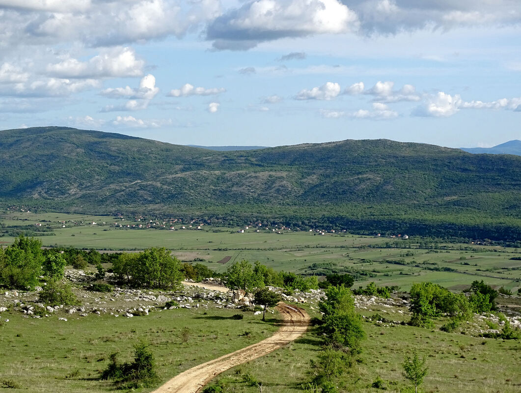 Greben Moseća iznad sela Kričke nedaleko od Drniša. Pogled s obronaka Promine.