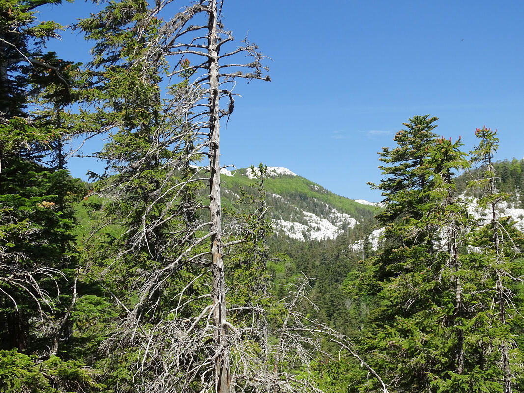 Pogled iz Paklenog na greben Obruča