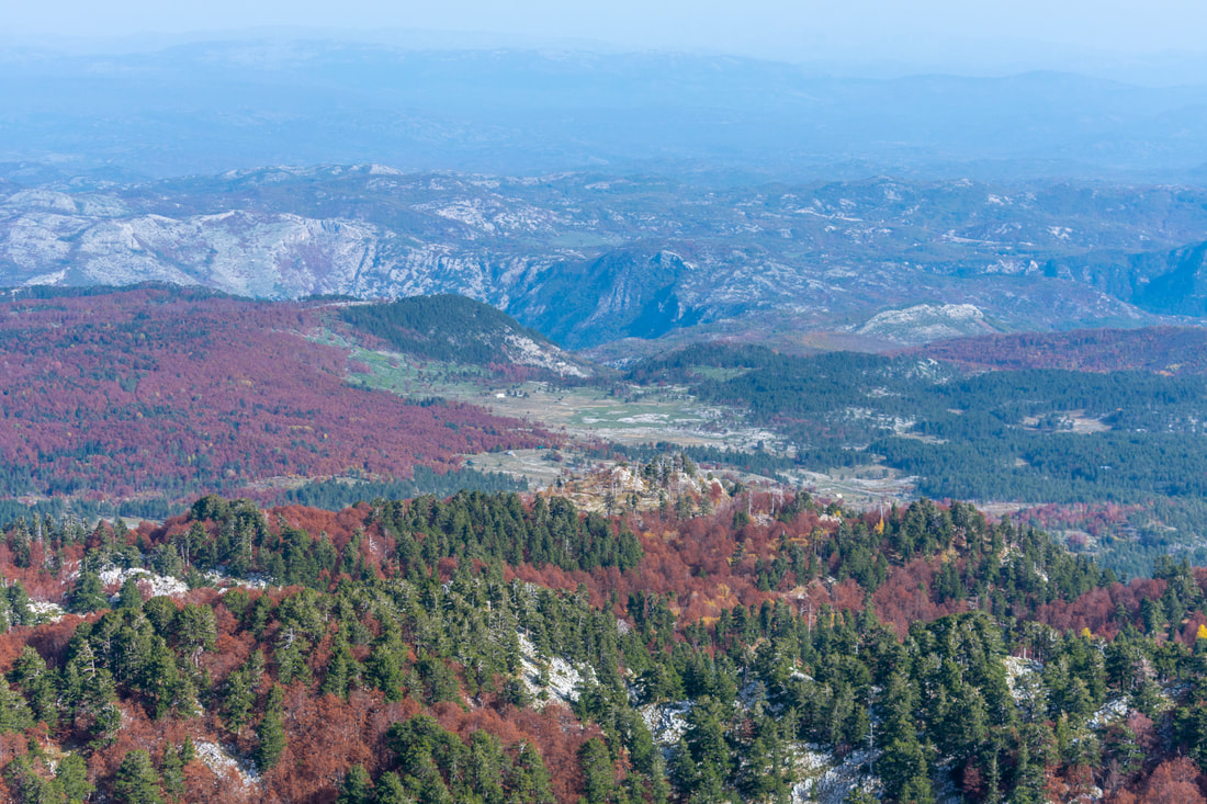 Bijela gora, pogled s Velike Jastrebice