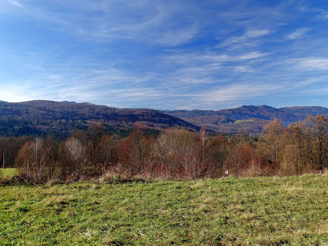 Pogled na Pleški hrib (lijevo) i Kočevski Rog (desno, u pozadini) s ceste između Uršnih sela i Laza