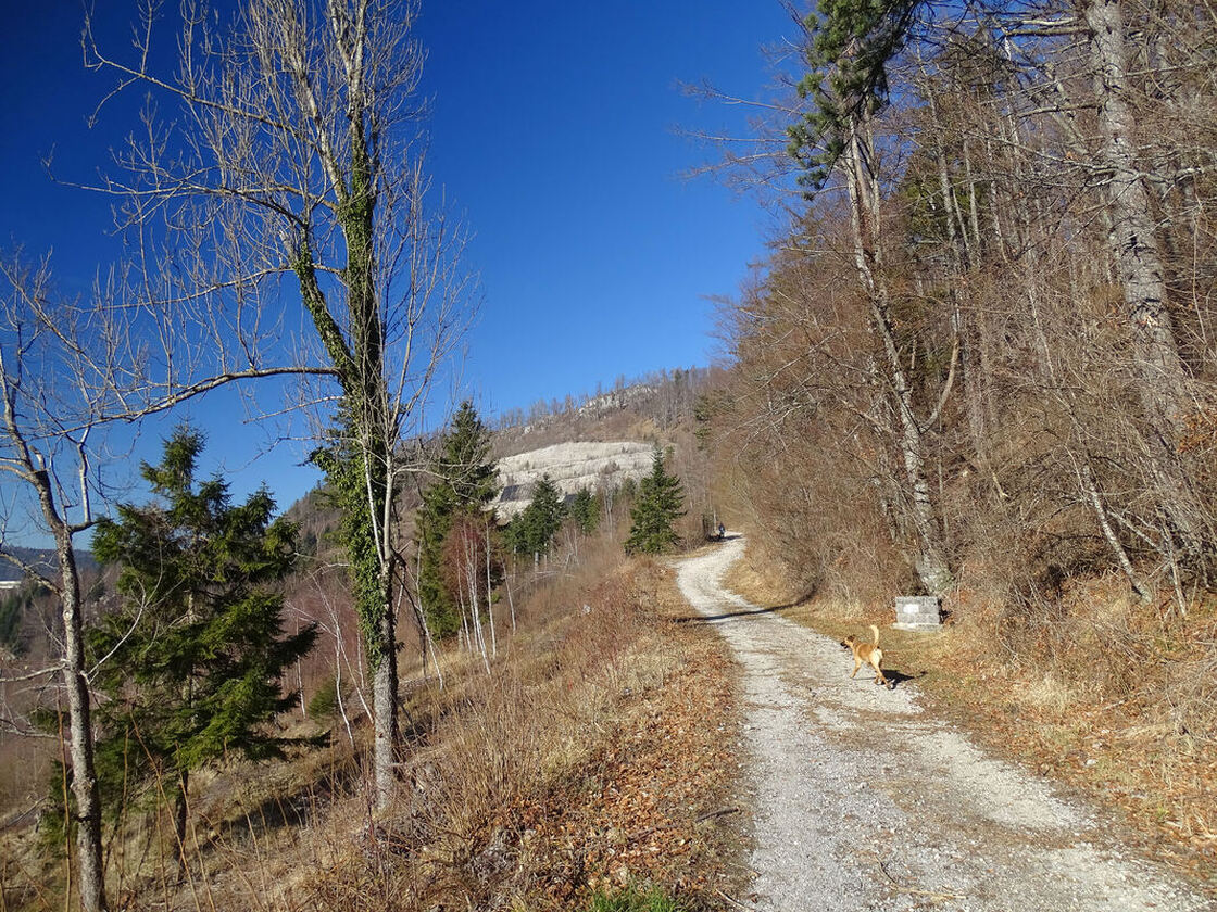 Šumska cesta na južnim padinama Preradovića brda, dijelom koje prolazi staza od Fužina prema Preradovićem vrhu i uz koju se nalazi spomenik Đuki Pavliću.